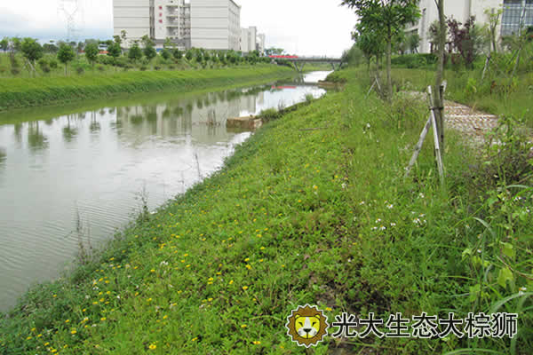 生态混凝土护坡河道护坡