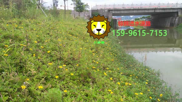 生态透水混凝土植生砼护坡施工