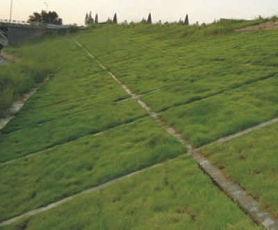 来宾生态混凝土植生护坡